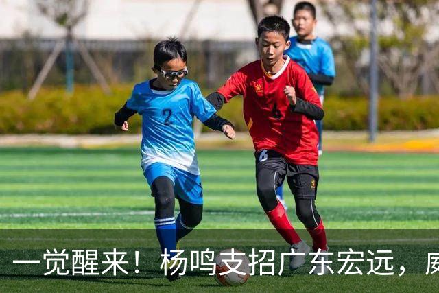 一觉醒来！杨鸣支招广东宏远，威姆斯毛遂自荐，宏远排名倒数第6！
