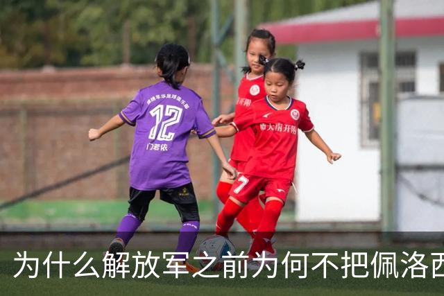 为什么解放军之前为何不把佩洛西的专机干掉？答案其实很非常清楚